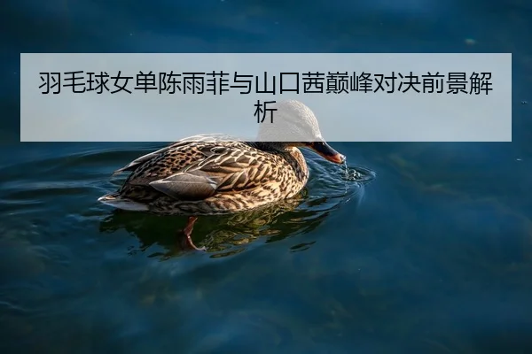 羽毛球女单陈雨菲与山口茜巅峰对决前景解析